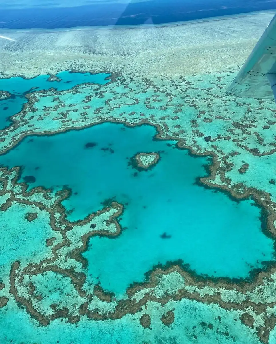 Cyclone Season, The Lowdown