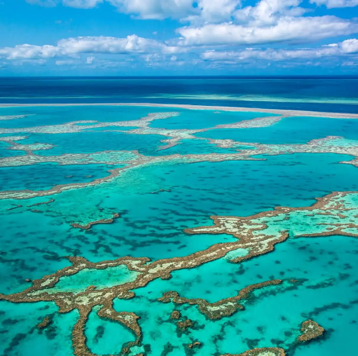 Remote K’gari and Whale Experience Tour