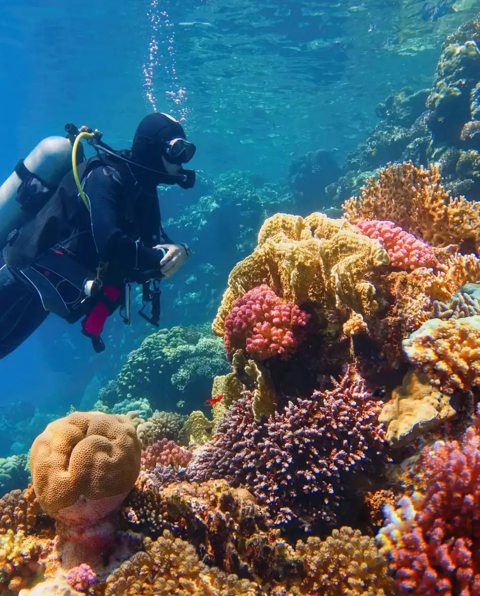 Snorkelling vs Scuba Diving in Wettish Conditions