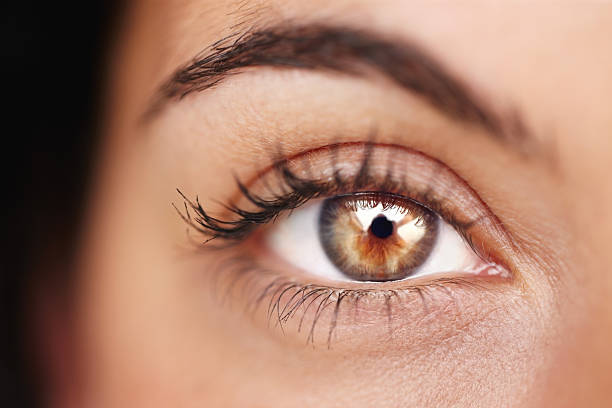 Close-up of a human eye with detailed iris and eyelashes, highlighting natural beauty and vision.