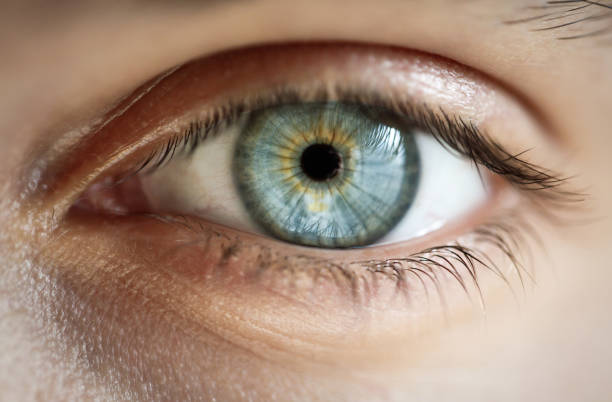 Close-up image of a human eye with detailed iris patterns in shades of blue and green.
